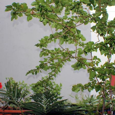 B&B Lili Σαλέρνο Εξωτερικό φωτογραφία