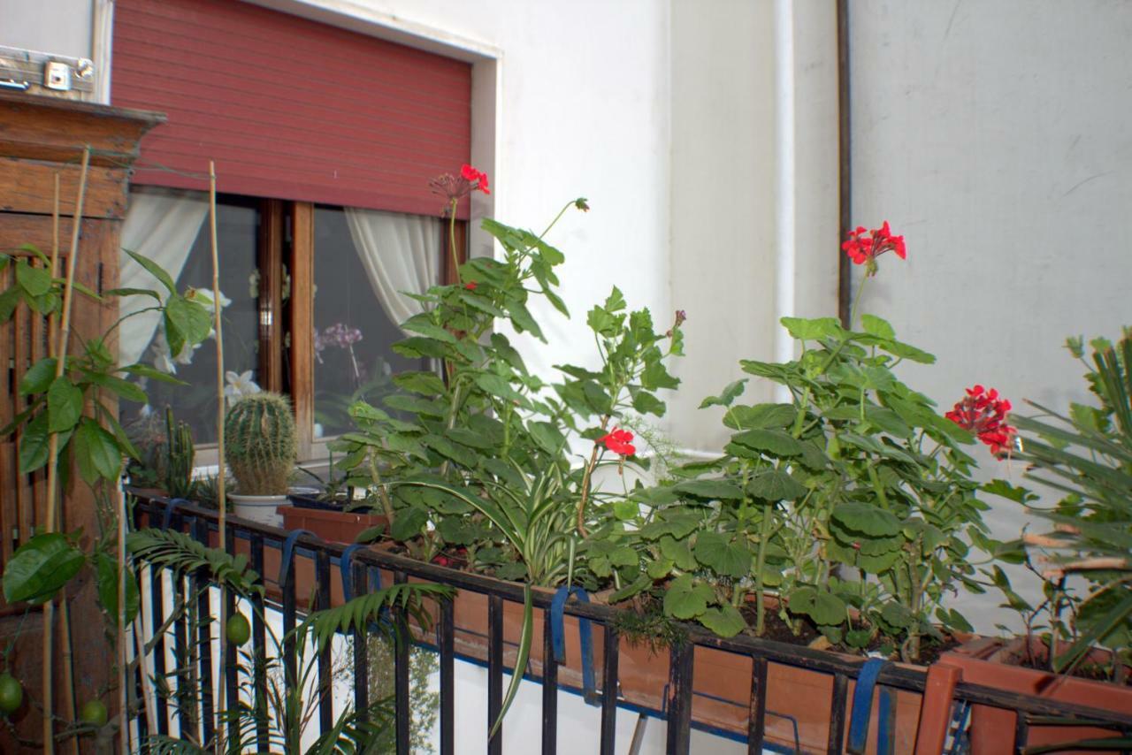 B&B Lili Σαλέρνο Εξωτερικό φωτογραφία